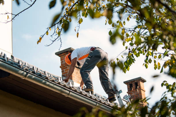 Best Roof Gutter Cleaning  in Elkland, PA